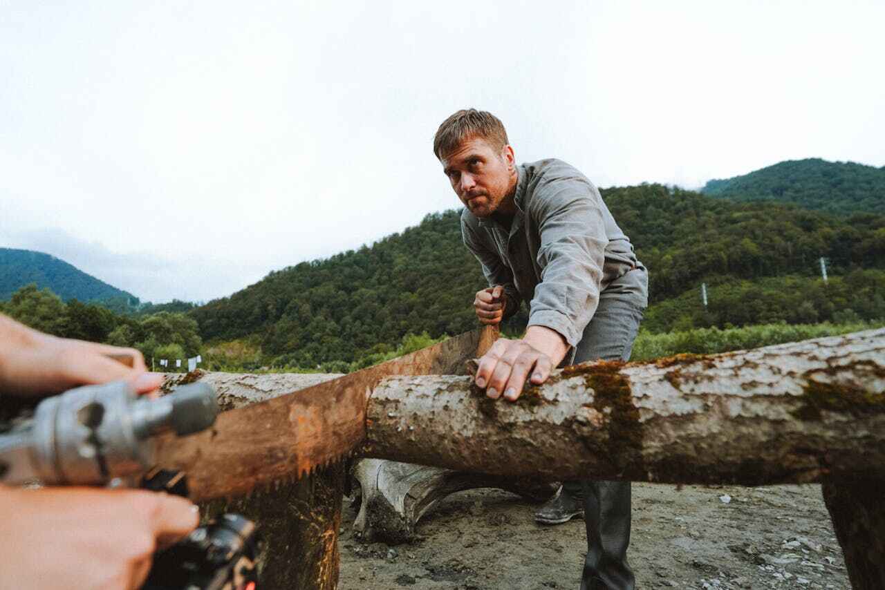 Tree Pruning & Trimming Experts